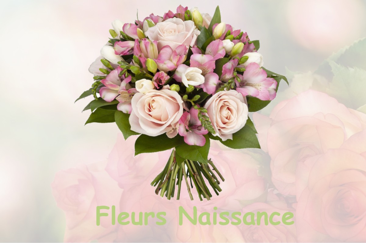 fleurs naissance VICQ-D-AURIBAT