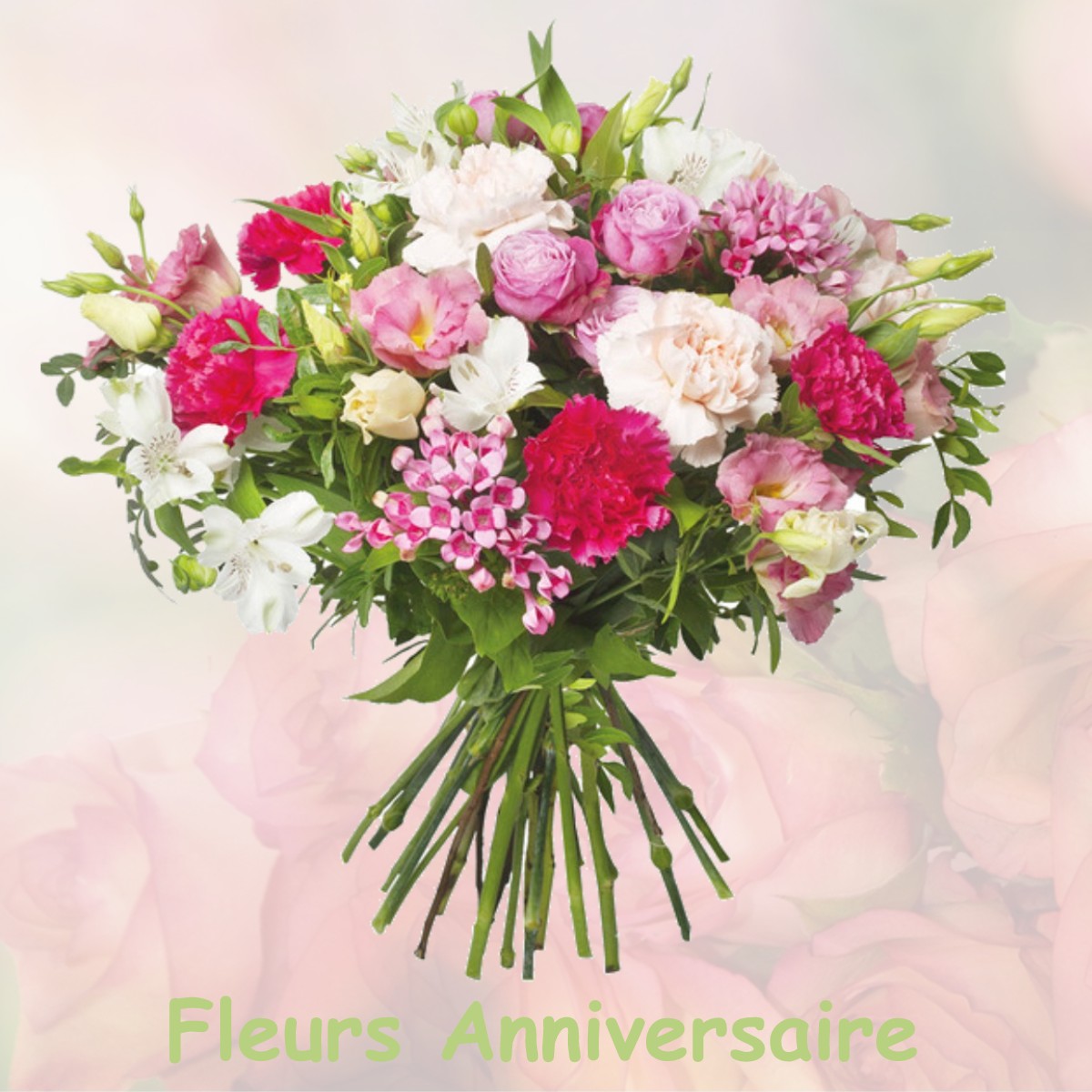 fleurs anniversaire VICQ-D-AURIBAT