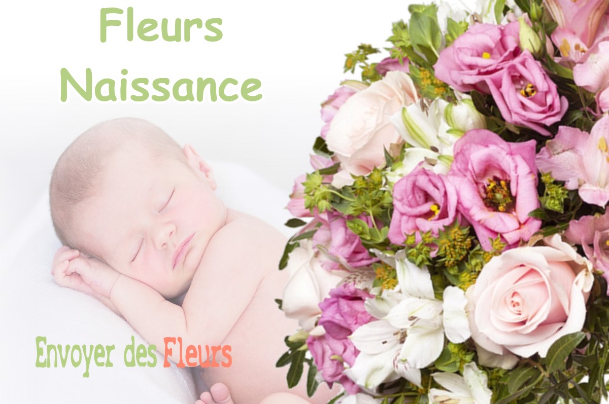 lIVRAISON FLEURS NAISSANCE à VICQ-D-AURIBAT