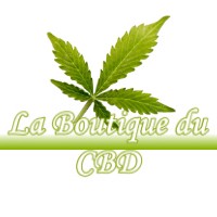 LA BOUTIQUE DU CBD VICQ-D-AURIBAT 